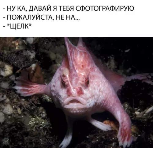 Смешная картинка №300952