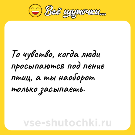 Шутка: То чувство, когда люди просыпаются под пение птиц, а ты наоборот только засыпаешь.