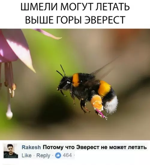 Смешная картинка №313883