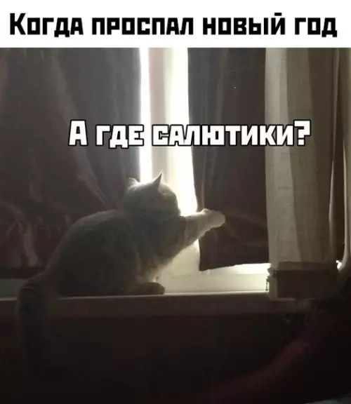 Смешная картинка №435914 новый год