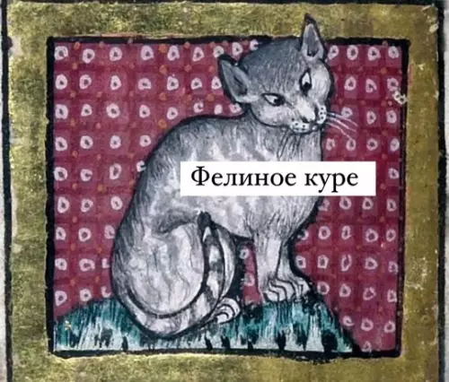 продолжение Смешная картинка №758139