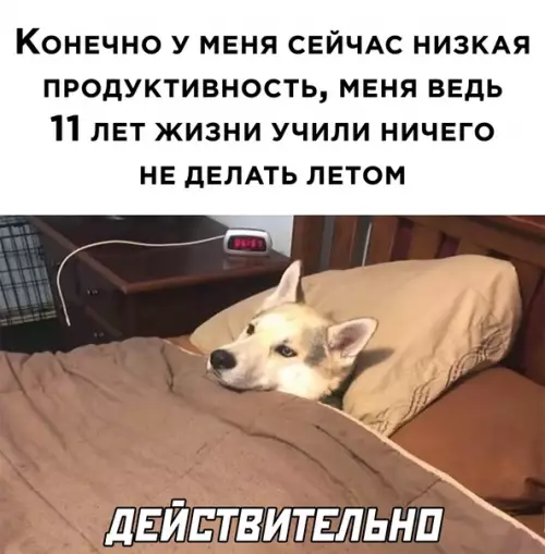 Смешная картинка №585774 Школа