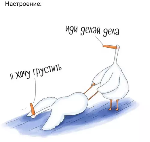 Смешная картинка №235383