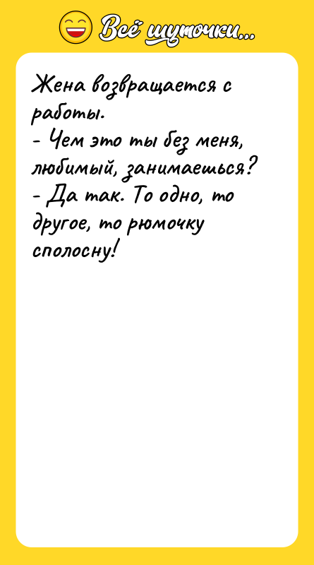 Жена возвращается с работы. - Чем это ты без меня,
