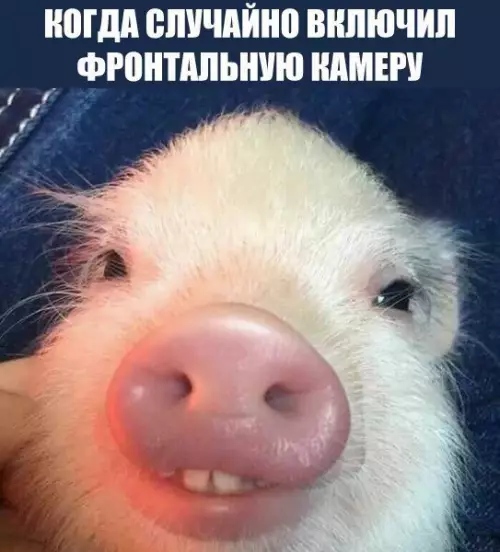 Смешная картинка №219310