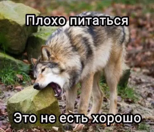 Смешная картинка №789616