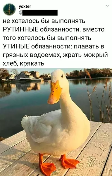 Смешная картинка №538732