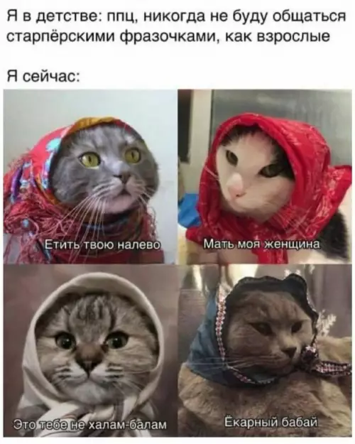 Смешная картинка №722091
