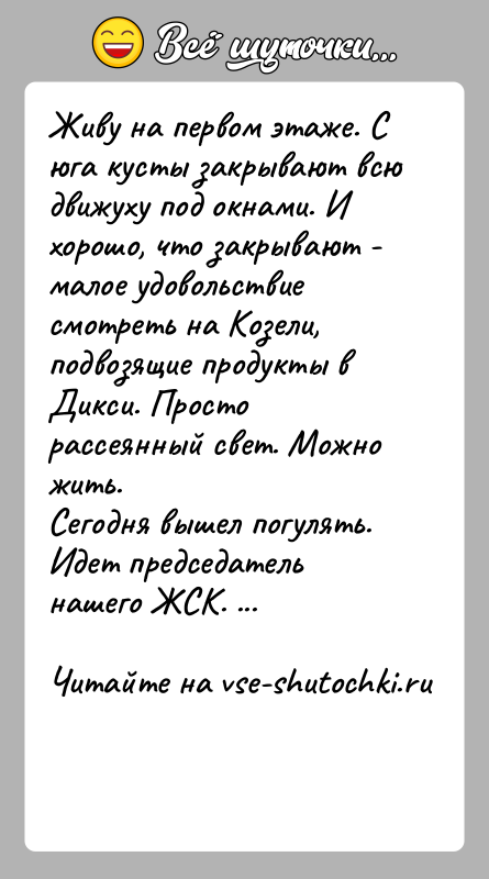История: Живу на первом этаже. С юга кусты закрывают всю движуху под окнами. И хорошо, что закрывают - малое удовольствие смотреть