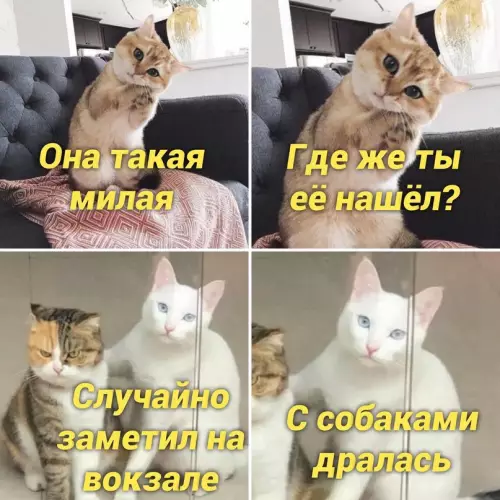 Смешная картинка №658933