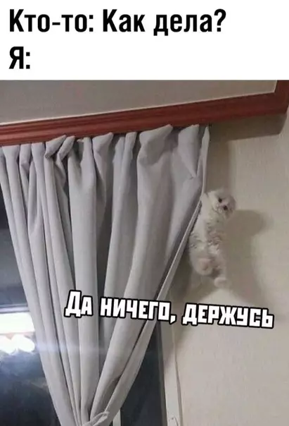 Смешная картинка №359428 #приколы #картинки #мемы ?