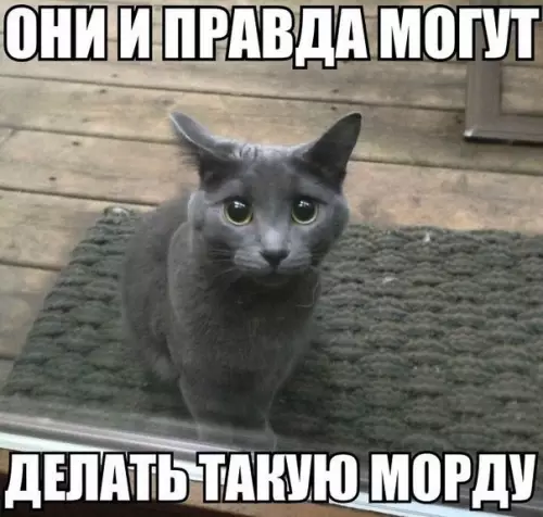 Смешная картинка №197017