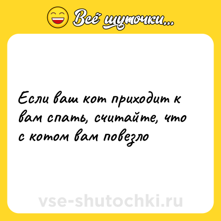 Шутка: Если ваш кот приходит к вам спать, считайте, что с котом вам повезло