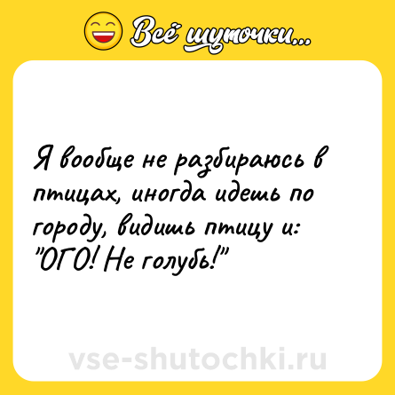 Шутка: Я вообще не разбираюсь в птицах, иногда идешь по городу, видишь птицу и: 
