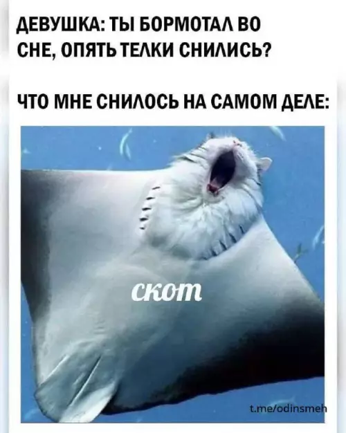 Смешная картинка №675608