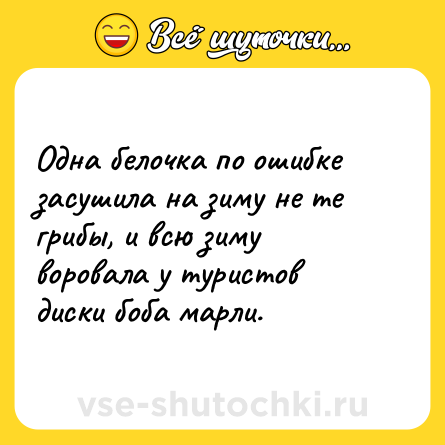 Шутка: Одна белочка по ошибке засушила на зиму не те грибы, и всю зиму воровала у туристов диски боба марли.