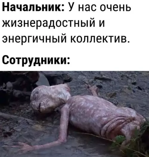 Смешная картинка №611287 Работа, коллектив