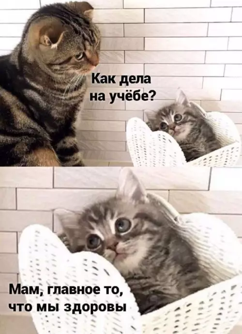 Смешная картинка №710178 дети