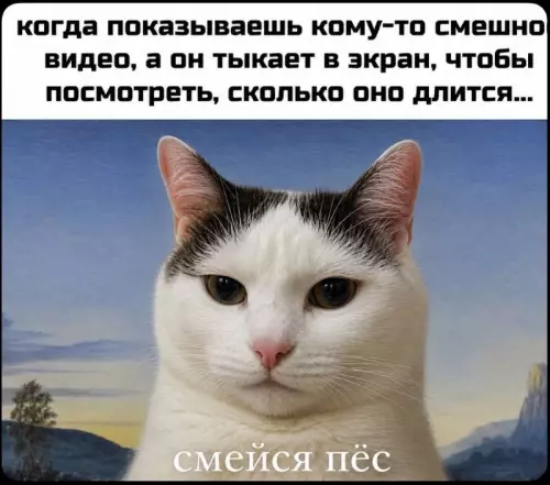 Тот самый момент разочарования 😼 - когда показываешь кому-то смешное видео, а он тыкает в экран,
