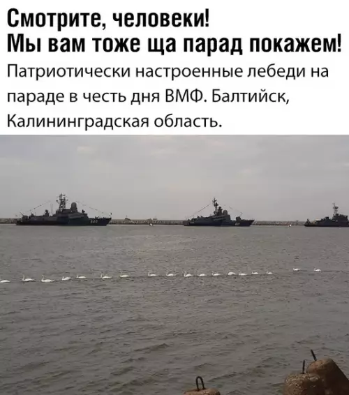 Смешная картинка №373108