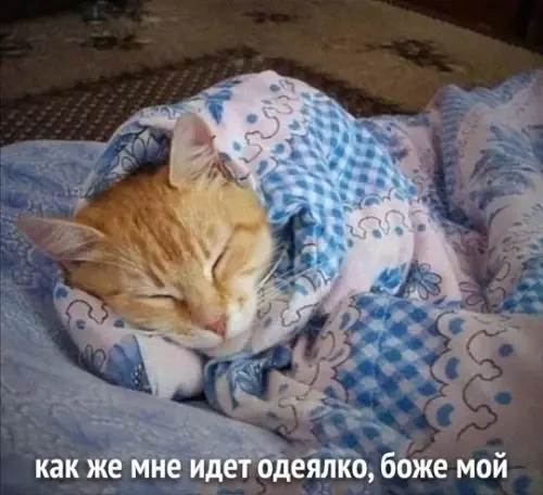 Смешная картинка №724117