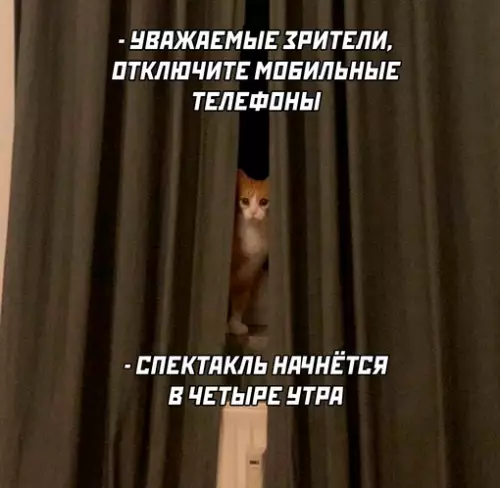 Смешная картинка №672961