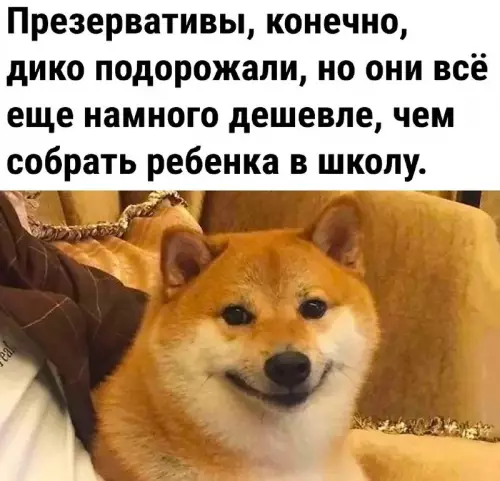 Смешная картинка №695313
