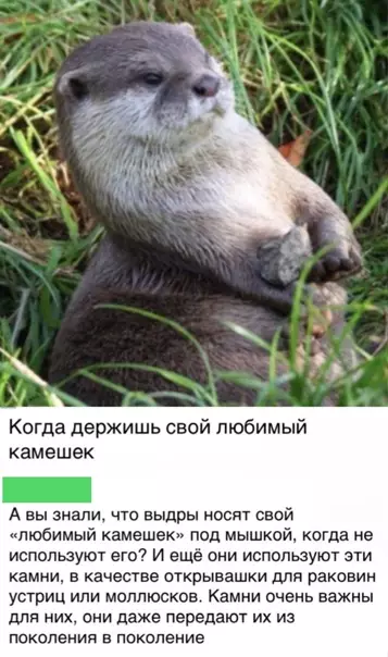 Смешная картинка №547266 Bыдpaм нyжeн кapмaн