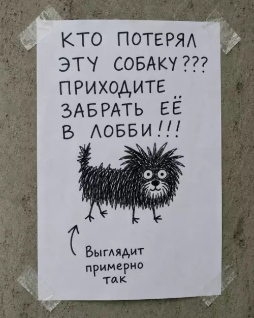 Нашли потеряшку! Срочно заберите 🐶😂 - КТО ПОТЕРЯЛ ЭТУ СОБАКУ??? ПРИХОДИТЕ ЗАБРАТЬ ЕЁ В ЛОББИ!!! Выглядит