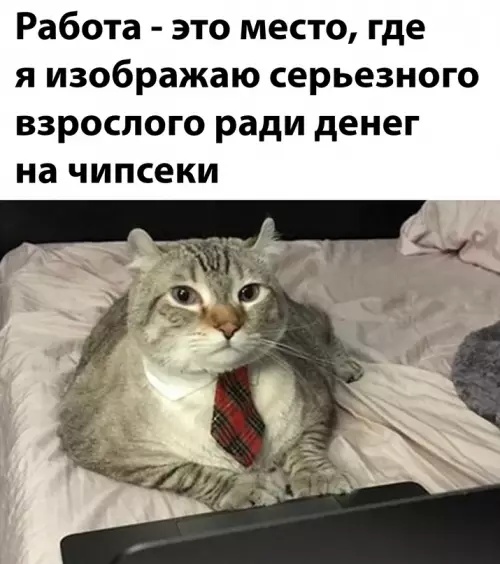 Смешная картинка №655713 работа