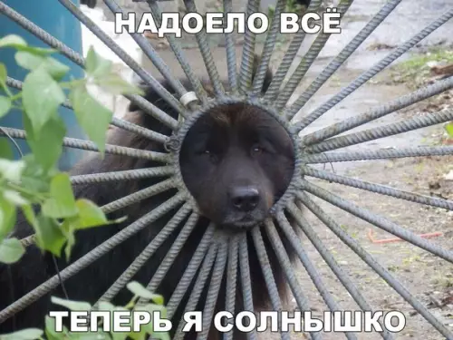 Смешная картинка №212589