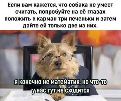 Смешная картинка №787276