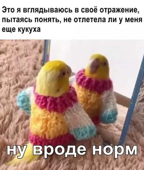 Смешная картинка №371278