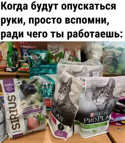 Смешная картинка №760953