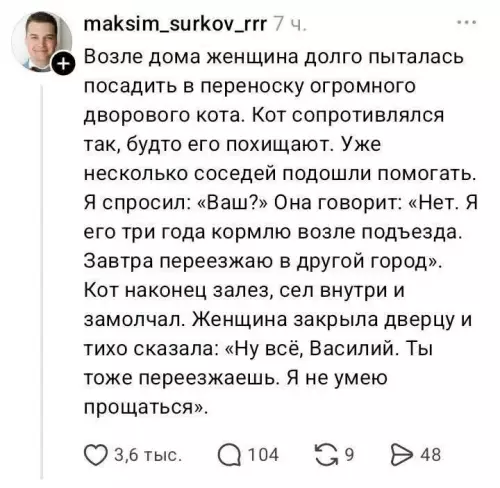 История про кота Василия, от которой слёзы 😿 - Возле дома женщина долго пыталась посадить в переноску огромного дворового