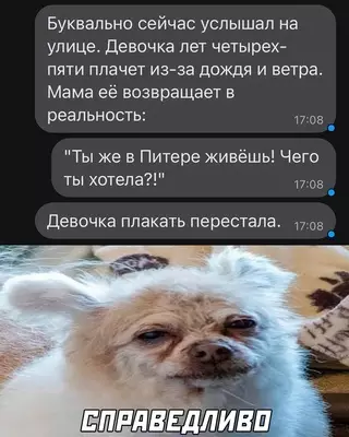 Смешная картинка №660518 питер