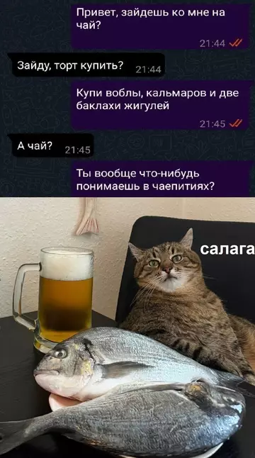 Смешная картинка №740815 Переписка
