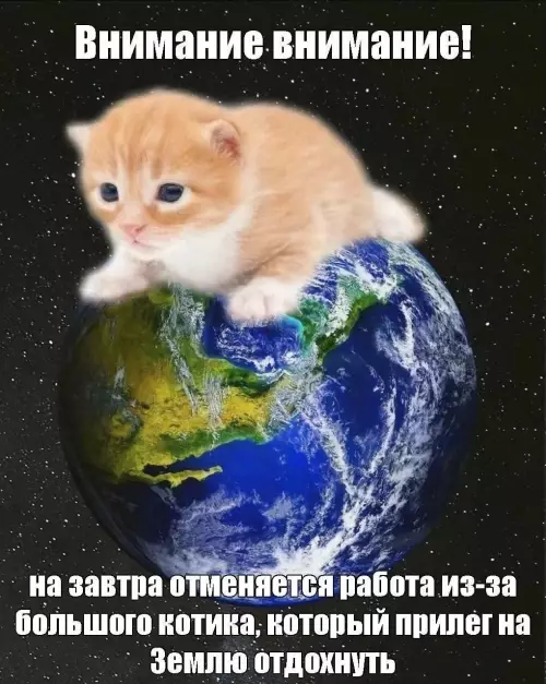 Смешная картинка №772140