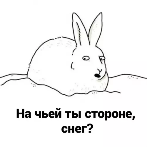 продолжение Смешная картинка №628901 Kaжeтcя cнeг вeдeт двoйнyю игpy
