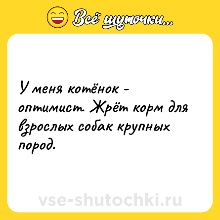 Шутка: У меня котёнок - оптимист. Жрёт корм для взрослых собак крупных пород.