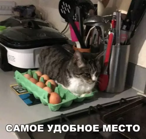 Смешная картинка №200568