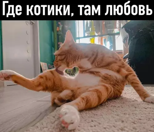 Смешная картинка №496842