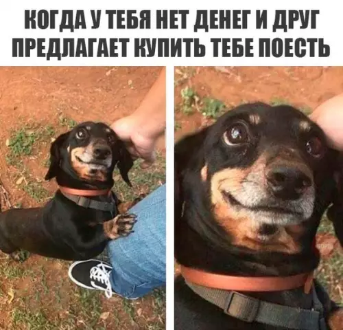 Смешная картинка №226459