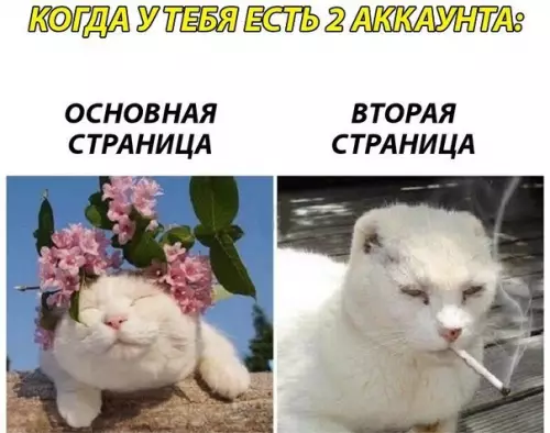 Смешная картинка №431777