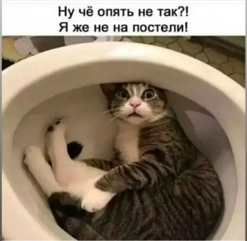 Смешная картинка №661101