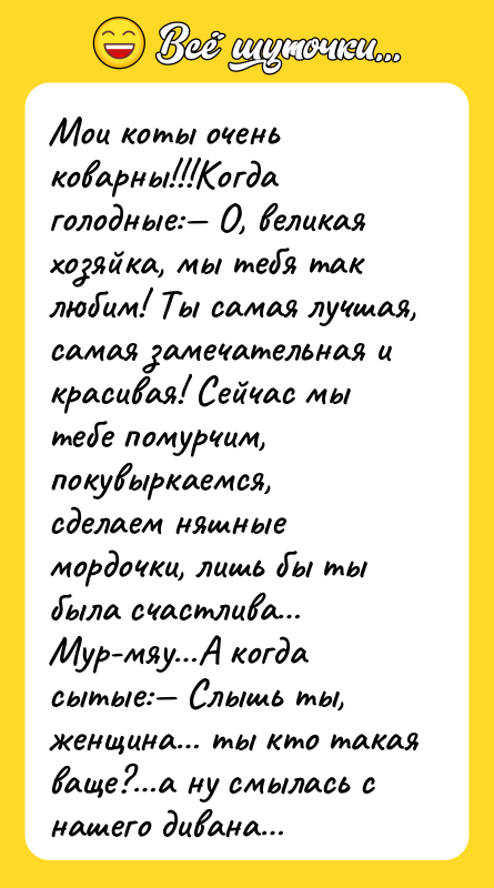 Мои коты очень коварны!!!Когда голодные:— О, великая хозяйка, мы тебя
