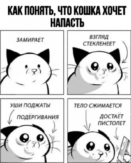 Смешная картинка №671031 Кошки 
