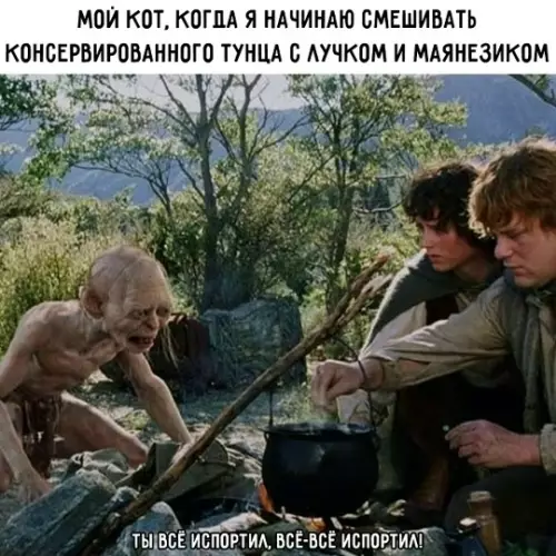 Твой кот — настоящий гурман! 🐱🍲 - МОЙ КОТ, КОГДА Я НАЧИНАЮ СМЕШИВАТЬ КОНСЕРВИРОВАННОГО ТУНЦА С ЛУЧКОМ