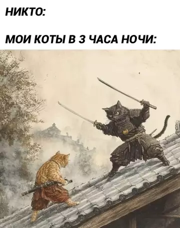 Смешная картинка №749650