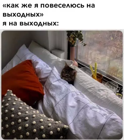 Смешная картинка №679379